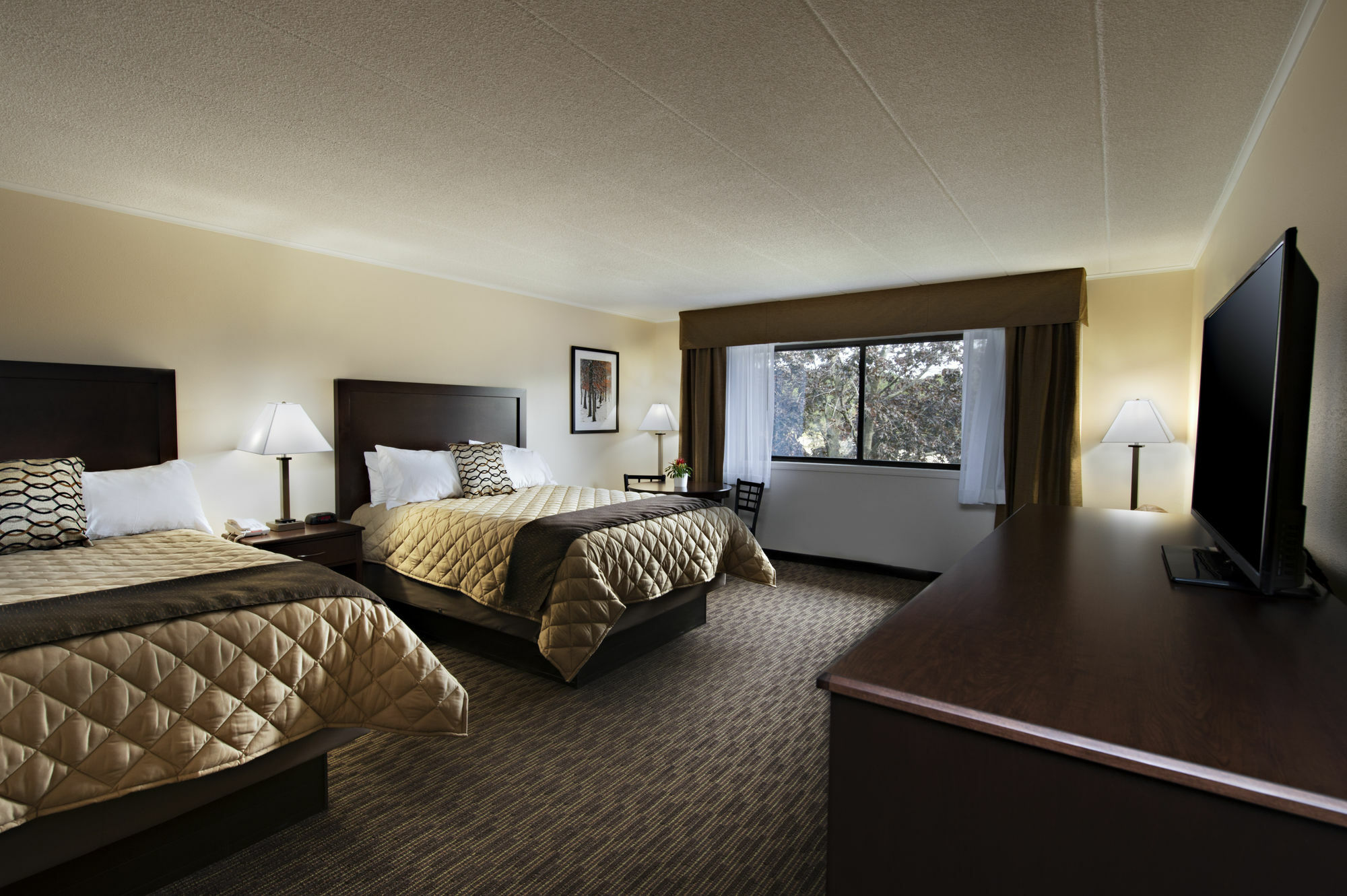Chestnut Mountain Resort Galena Exteriör bild